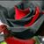 Sue Doxtator's profile image