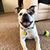 Traci Maier Besch's profile image