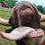 Robert Troutman's profile image