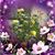 Kathy Donath's profile image