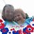 Jamie Quilliam's profile image