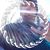 Ed Budney Jr.'s profile image