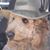 Cathy Federico's profile image