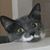 Tanya Murray's profile image