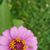 Annette Upky Webb's profile image