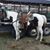 Tracy Ellisor's profile image