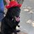 Jennifer Spillane's profile image