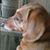 Amy Mace's profile image