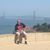 Sonny F Stevens's profile image