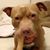 Gail Marggraf's profile image