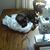 Sophie Liptak's profile image