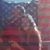 Sonia Leah Folkner's profile image