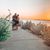 Barbara Campos's profile image