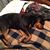 Jess Hetherington's profile image