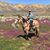 Deanna Mckee Steinhoff's profile image