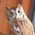 Angela Richter's profile image