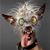 Chris James's profile image