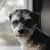 Tricia Halvorson Lunski's profile image