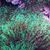 Bryan Stearns's profile image