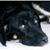 Robert Miller's profile image