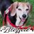 Kayann Sharp Glaspey's profile image