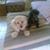 Pamela Stone's profile image