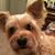 Karen Brunson's profile image