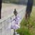 Gwendolyn Ferguson Tygert's profile image