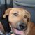 Tami Propper Osias's profile image