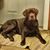 Laura Snyder Kurtz's profile image