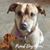 Laura Rosalie's profile image