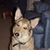 Helene Berg Kardas's profile image