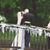 Alisa Taylor-Lehman's profile image