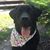 Amy Rhome Sullivan's profile image