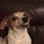 Jason Jaudon's profile image