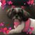 Sandra Anderson Richards's profile image