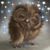 MaryAnn Powell's profile image