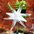 Gayle Redfeather's profile image