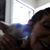 Myrna Ambler's profile image