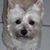 Sandie Sprague's profile image