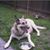 David Girton's profile image