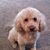 Claudia Patricia's profile image