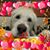 Sandy Kytta Miscko's profile image