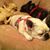 Guelay Ekin's profile image