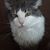 Cathy Munson's profile image