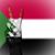 Hiba Ahmed Mustafa's profile image