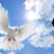 Norma Linda Luna's profile image