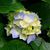 Cathy Eldridge's profile image