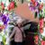 Ruth Roman's profile image