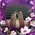 Candy Demiri's profile image